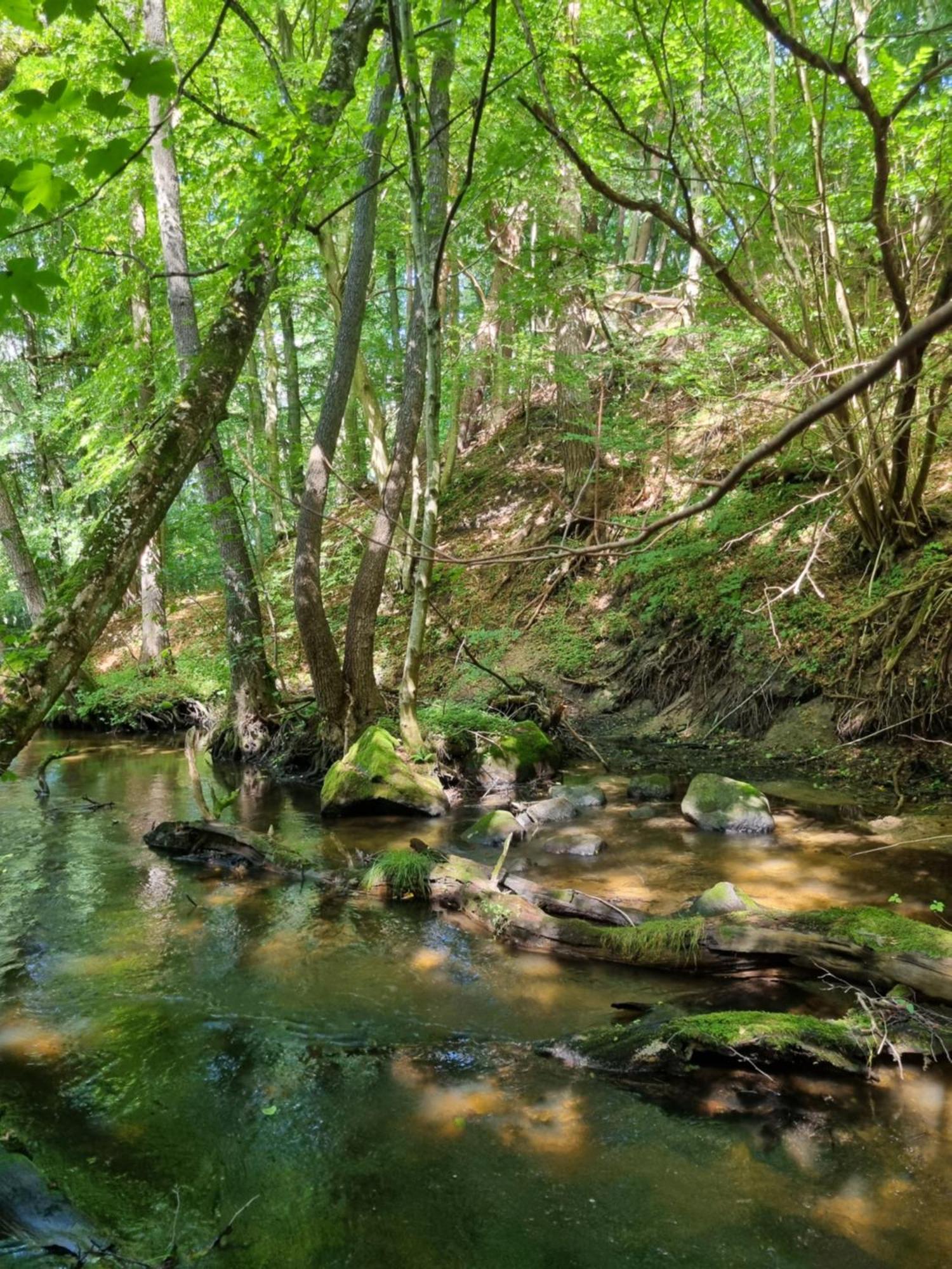 Domki Nad Morzem Lublewo21 Obok Bialogory Lublewo Leborskie Exteriör bild
