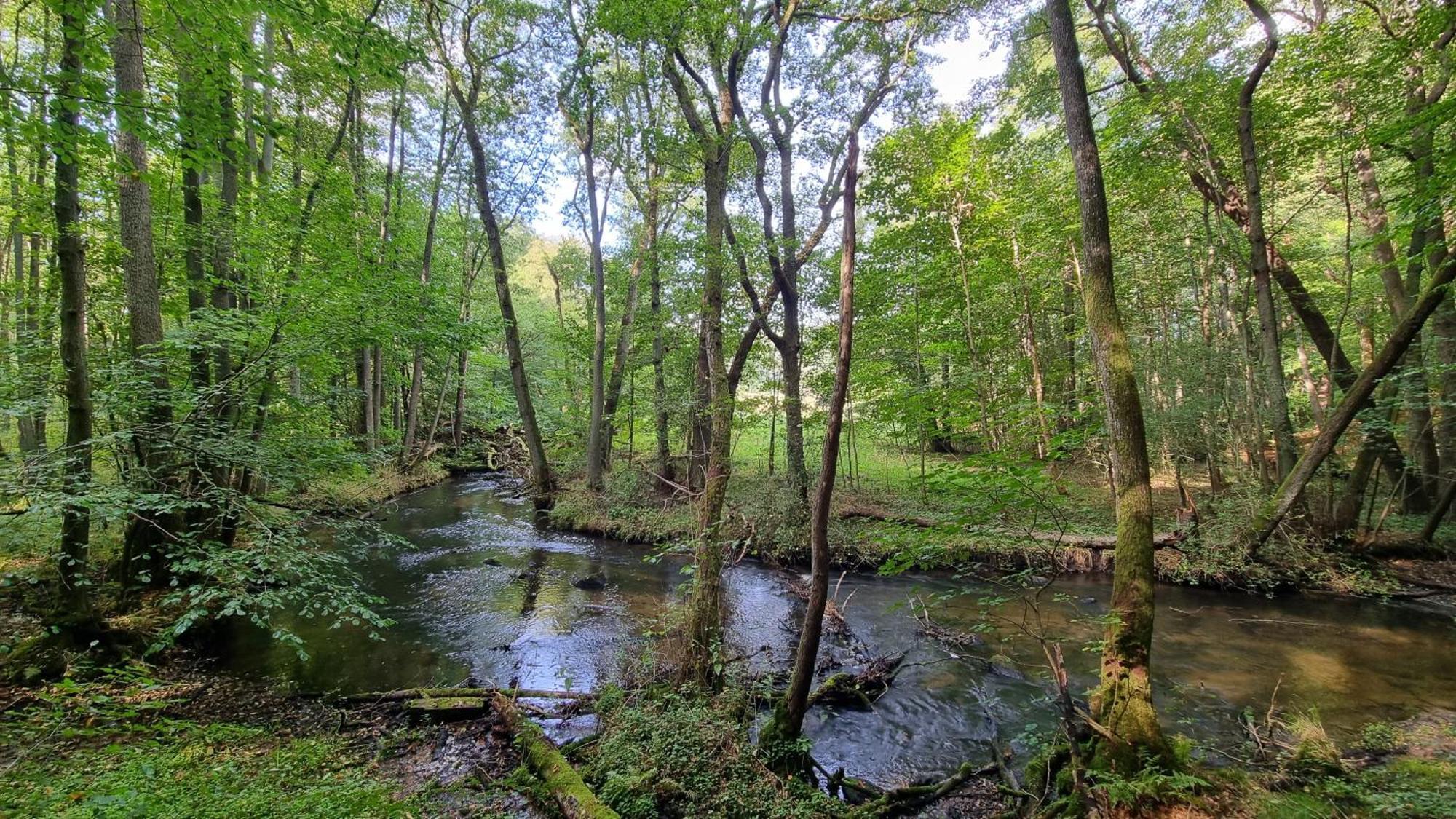 Domki Nad Morzem Lublewo21 Obok Bialogory Lublewo Leborskie Exteriör bild